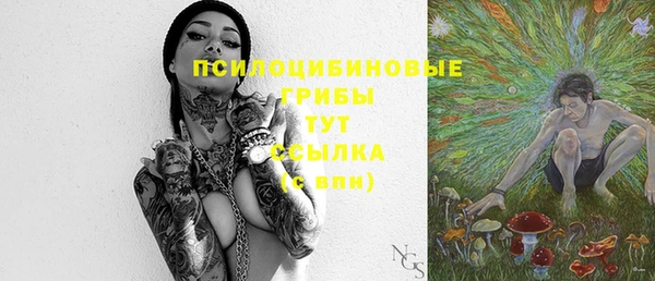 spice Баксан