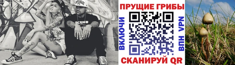 наркошоп  Зеленоградск  Галлюциногенные грибы Psilocybine cubensis 